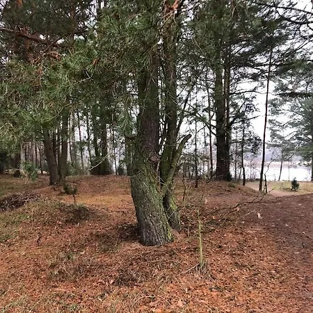 Zacisze Lesne W Juliance