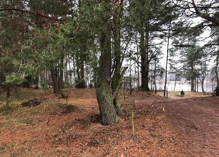 Zacisze Lesne W Juliance