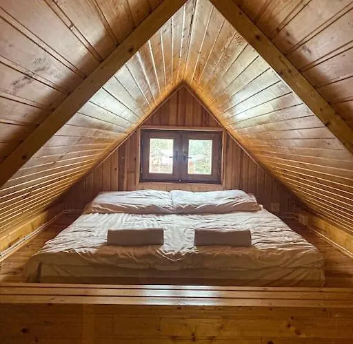 Villa Zacisze Lesne W Juliance *